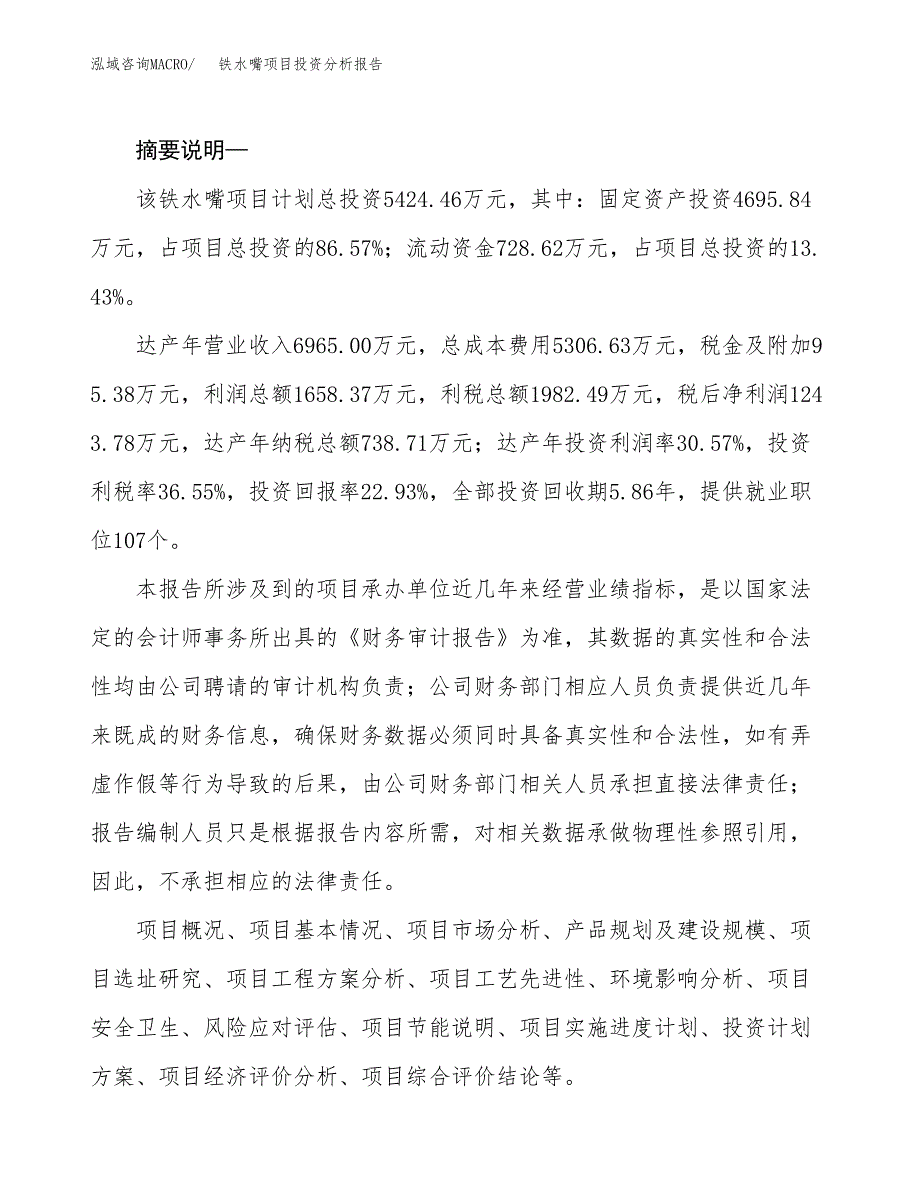 铁水嘴项目投资分析报告(总投资5000万元)_第2页