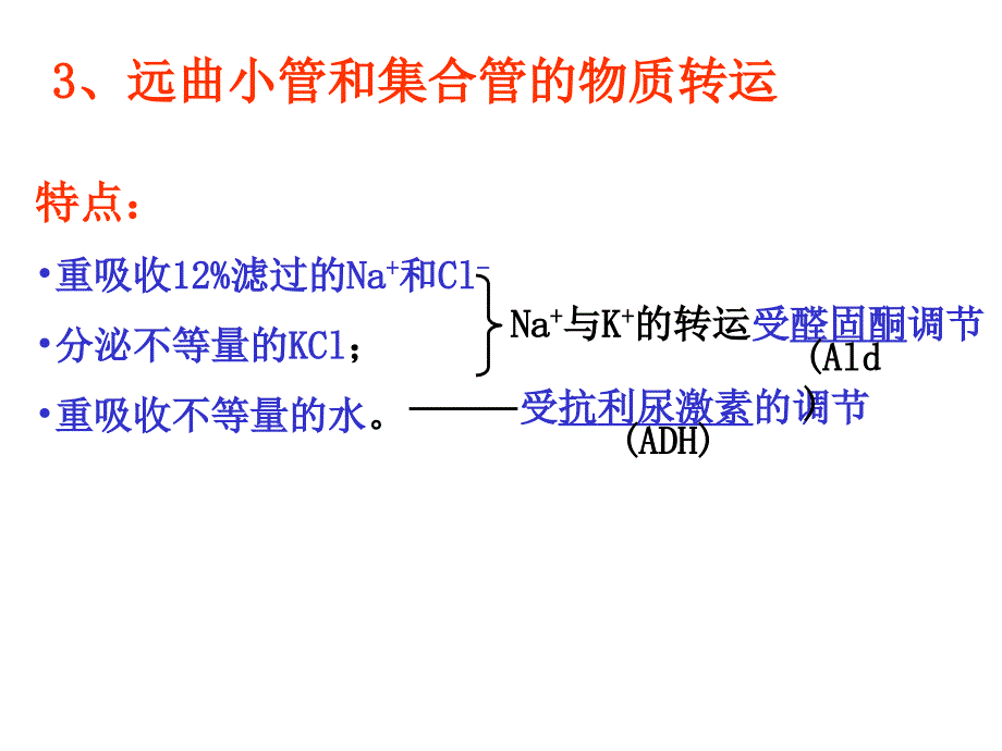 生理课件第十章泌尿系统生理2章节_第2页