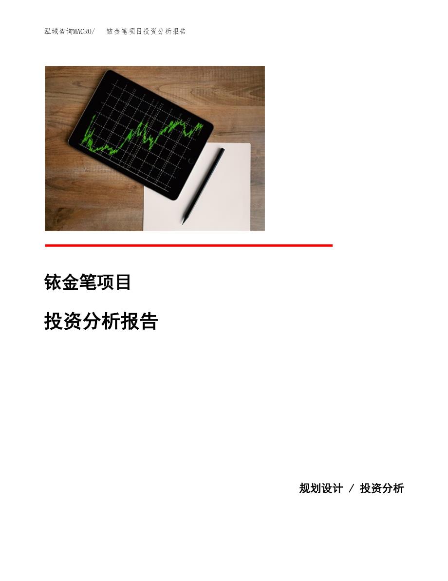 铱金笔项目投资分析报告(总投资18000万元)_第1页