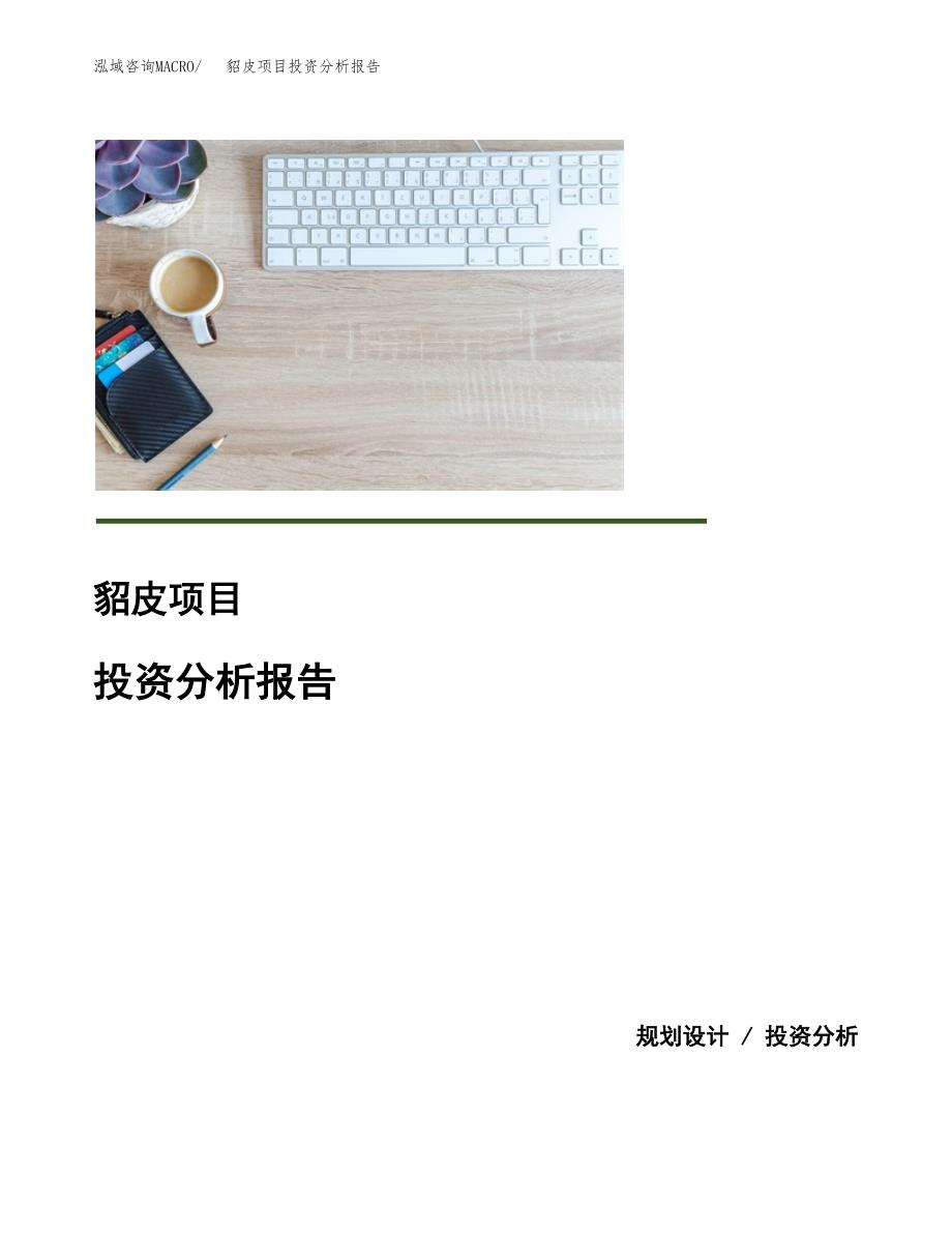 貂皮项目投资分析报告(总投资4000万元)_第1页