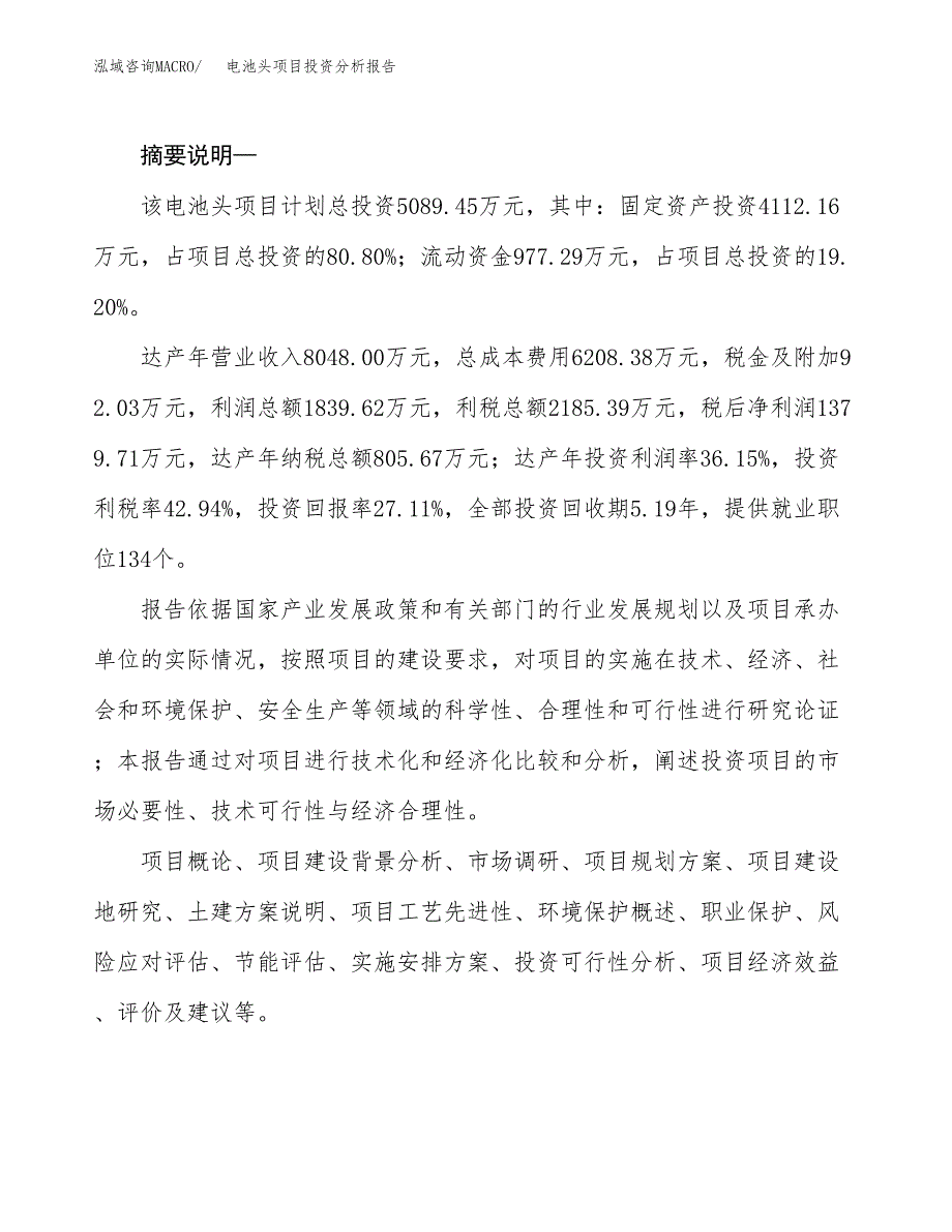 电池头项目投资分析报告(总投资5000万元)_第2页