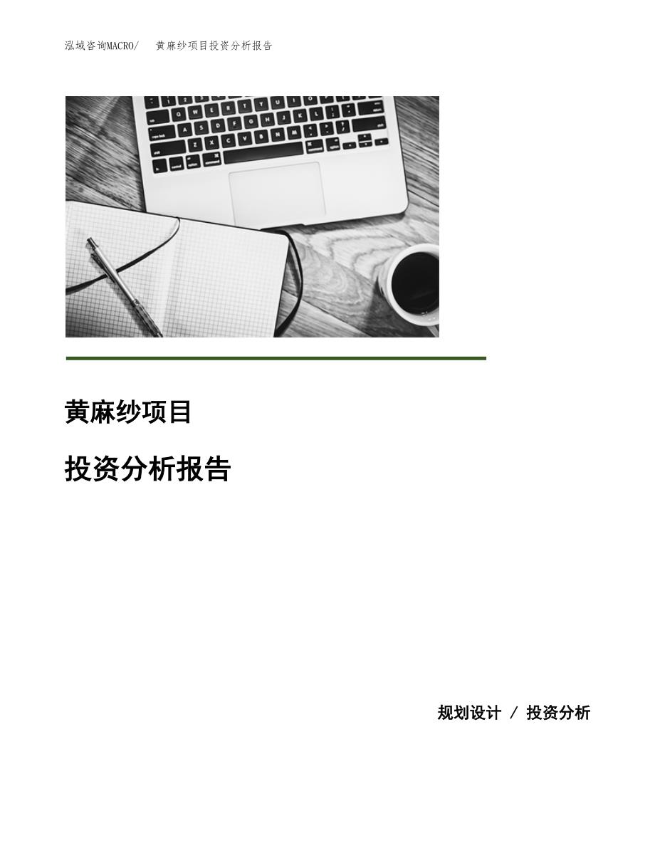 黄麻纱项目投资分析报告(总投资20000万元)_第1页