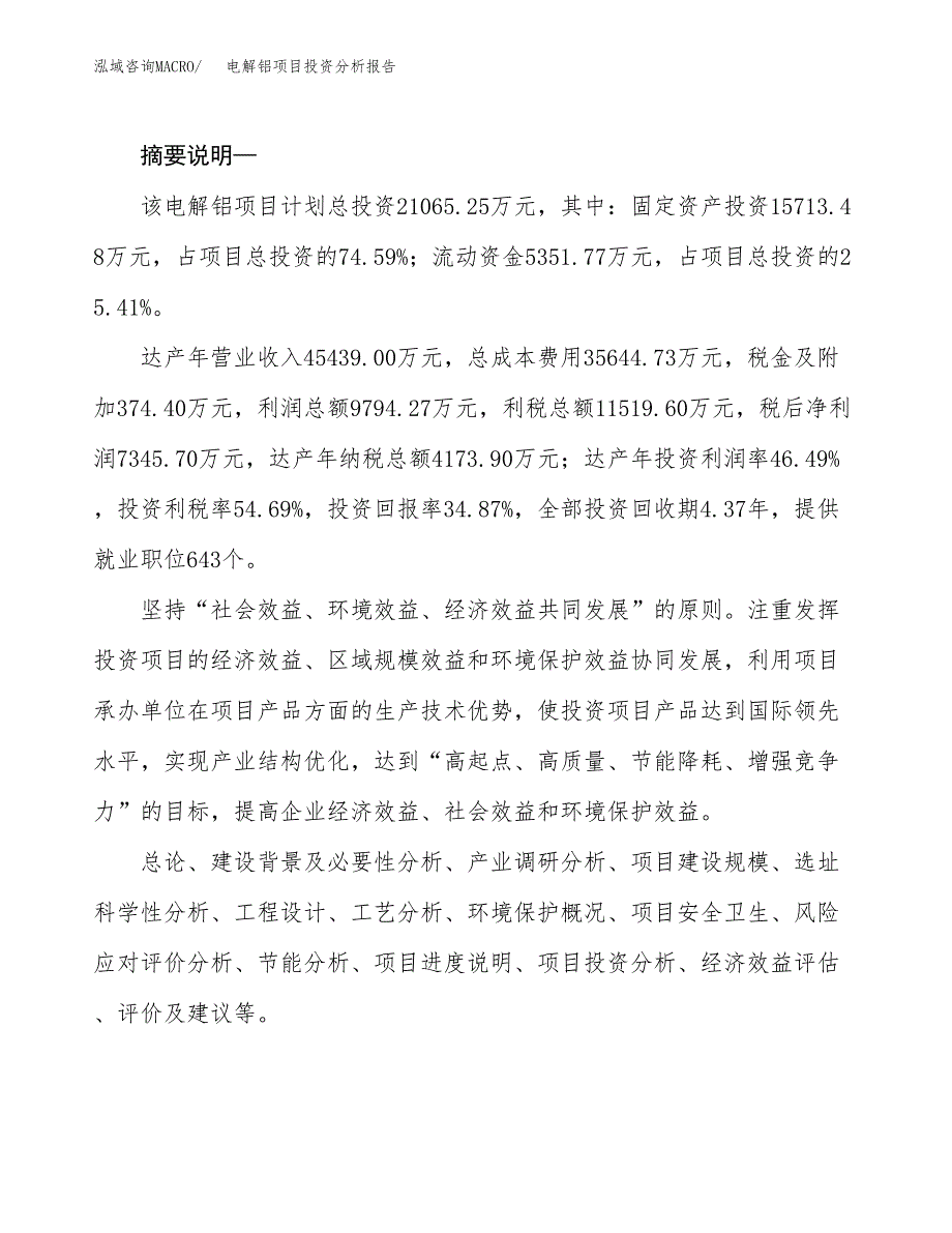 电解铝项目投资分析报告(总投资21000万元)_第2页