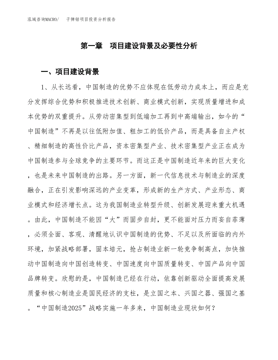 子弹钳项目投资分析报告(总投资14000万元)_第3页