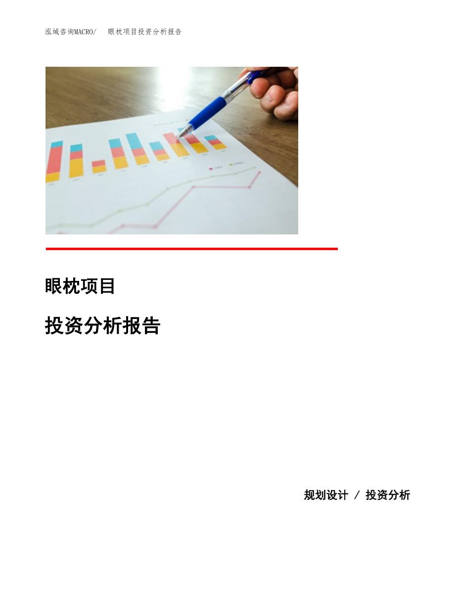 眼枕项目投资分析报告(总投资12000万元)_第1页