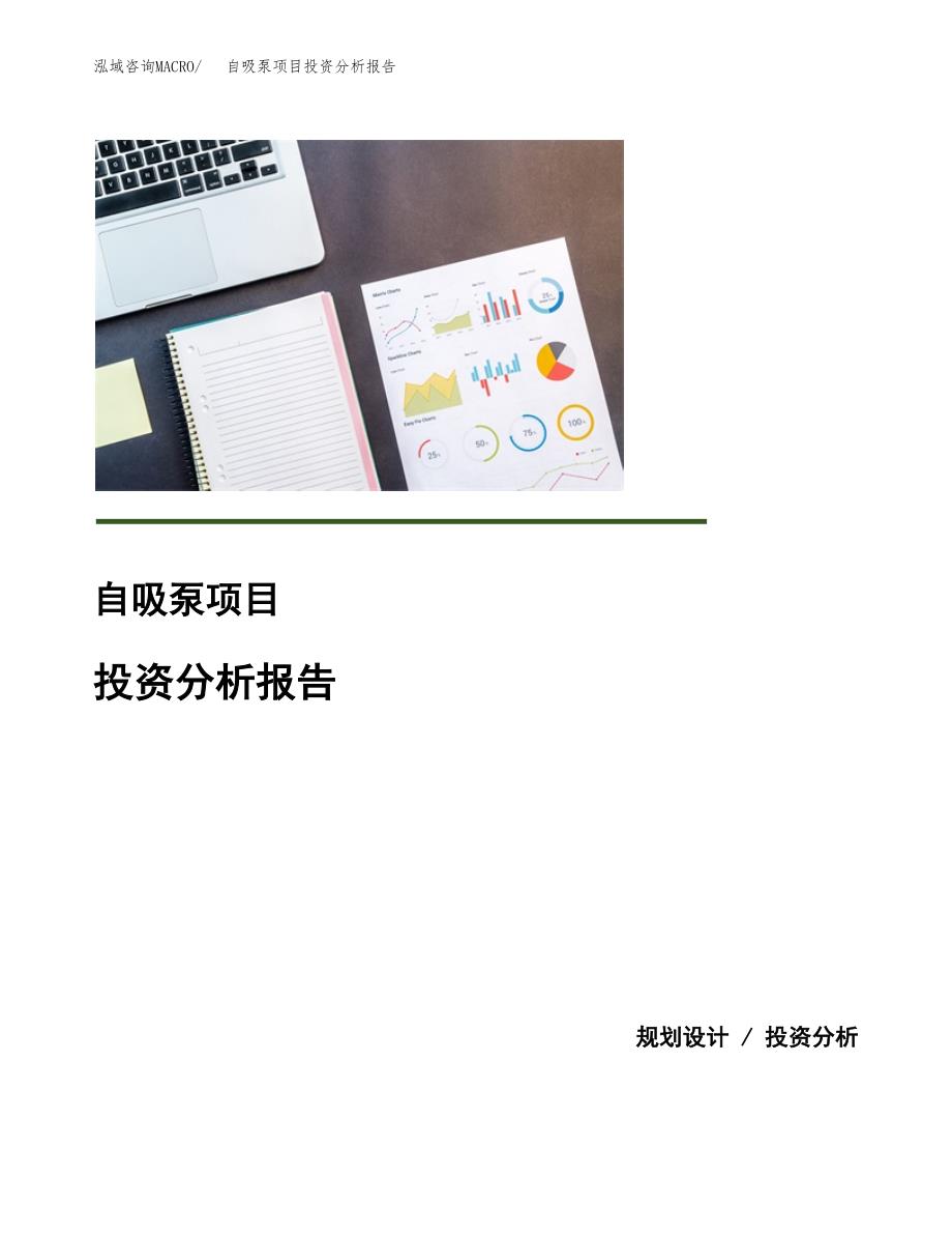 自吸泵项目投资分析报告(总投资17000万元)_第1页