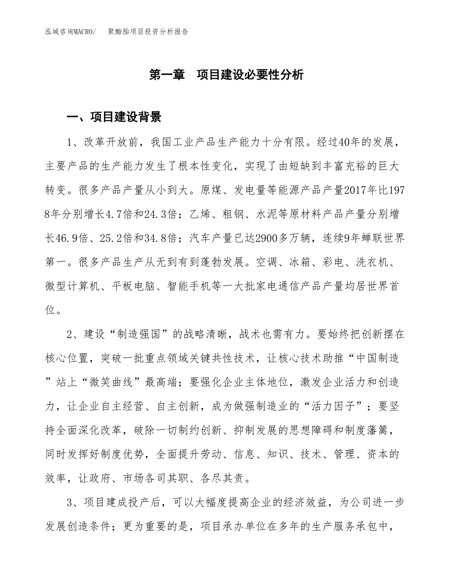 聚酯胎项目投资分析报告(总投资10000万元)_第3页