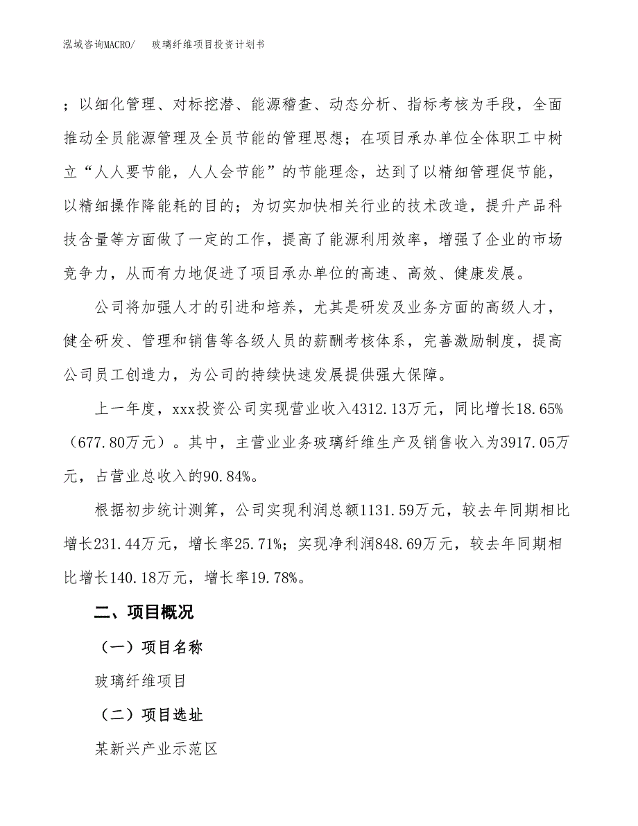 （参考版）玻璃纤维项目投资计划书_第2页