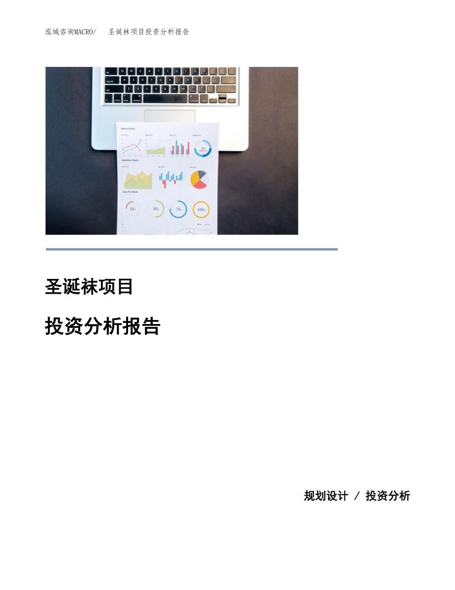 圣诞袜项目投资分析报告(总投资17000万元)_第1页