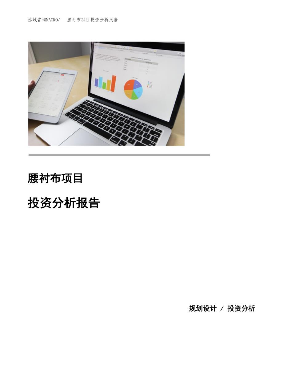 腰衬布项目投资分析报告(总投资4000万元)_第1页