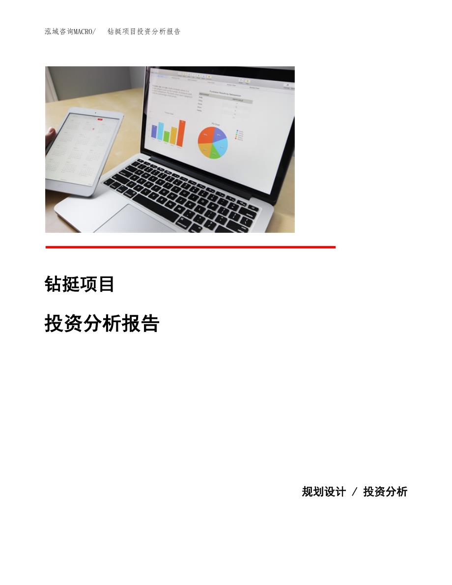 钻挺项目投资分析报告(总投资8000万元)_第1页