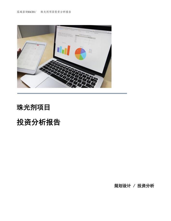 珠光剂项目投资分析报告(总投资10000万元)
