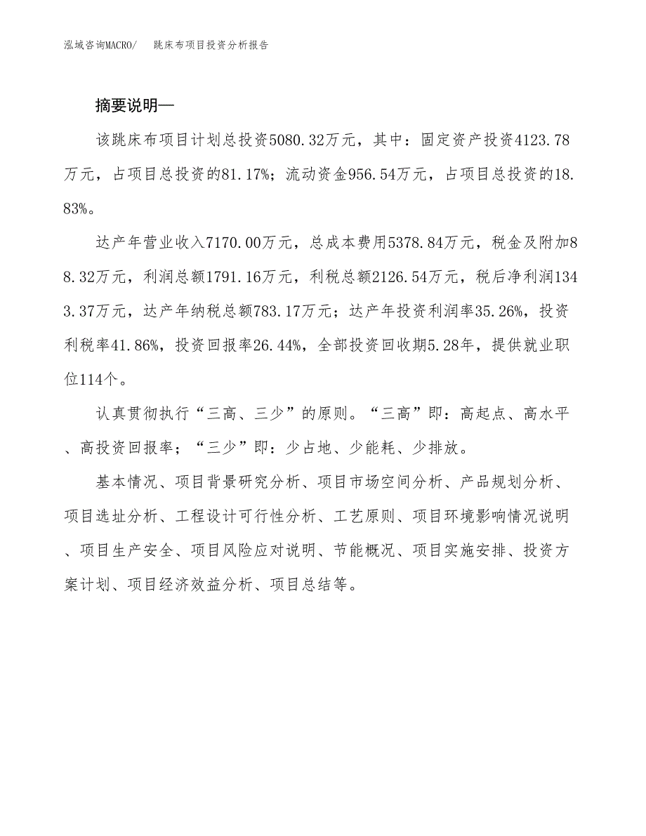 跳床布项目投资分析报告(总投资5000万元)_第2页