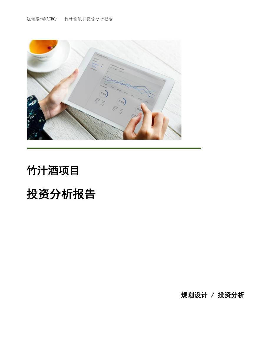 竹汁酒项目投资分析报告(总投资3000万元)_第1页