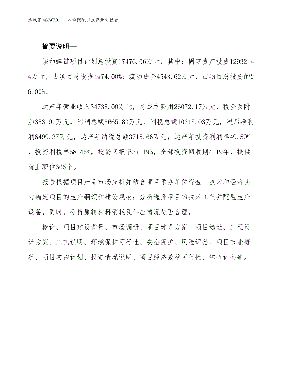 加弹链项目投资分析报告(总投资17000万元)_第2页