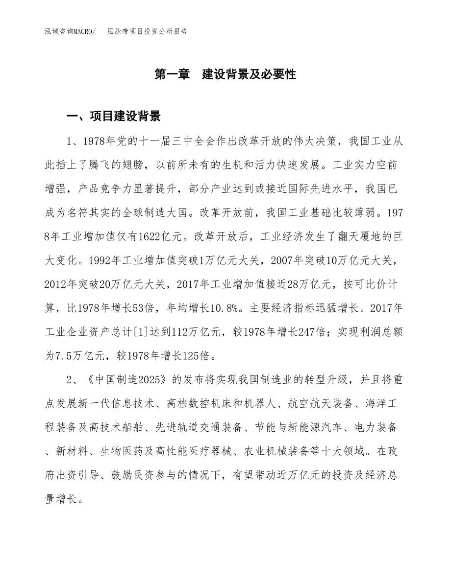 压脉带项目投资分析报告(总投资14000万元)_第3页