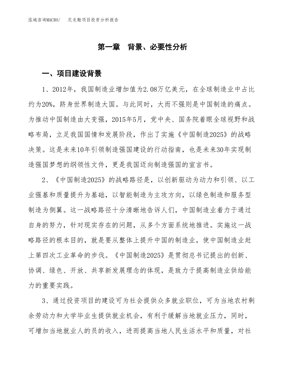 尼龙鞋项目投资分析报告(总投资11000万元)_第3页