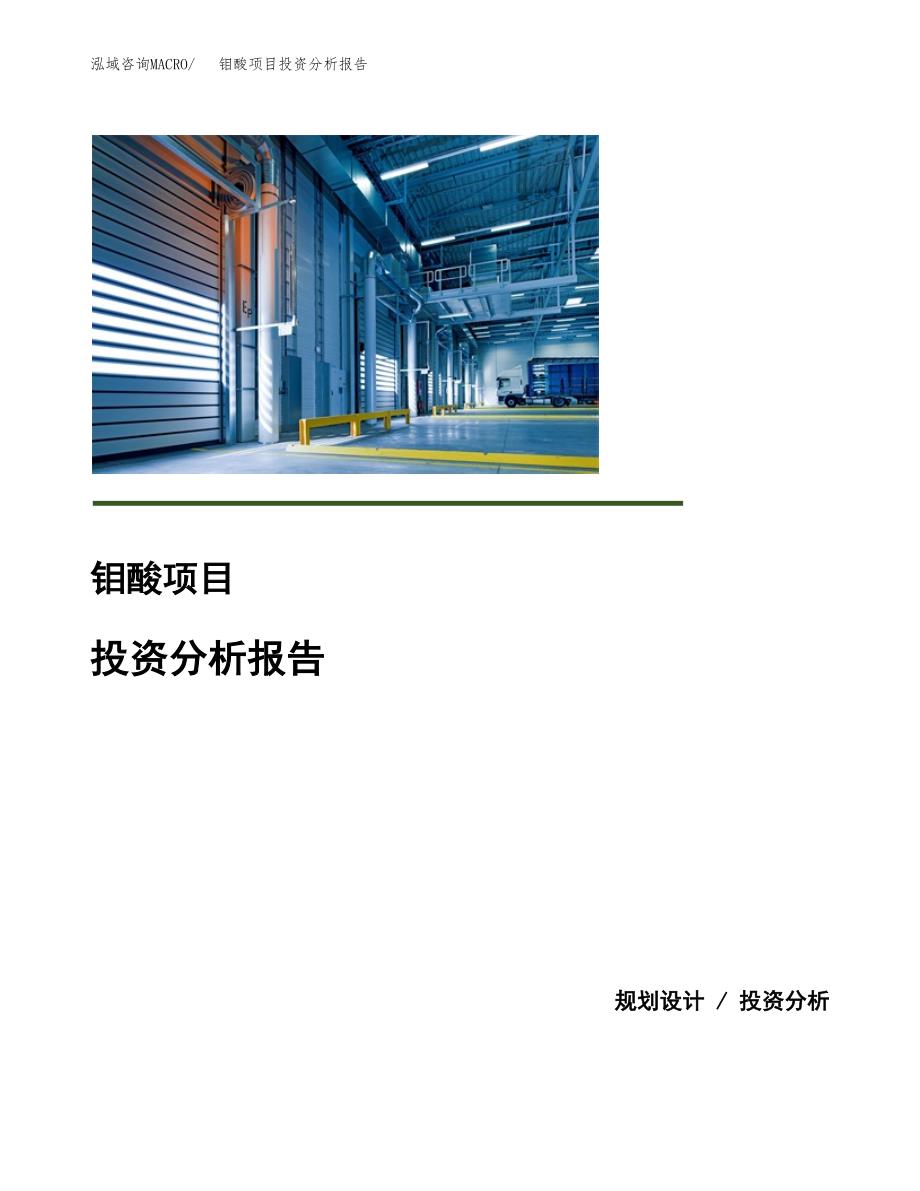 钼酸项目投资分析报告(总投资9000万元)_第1页