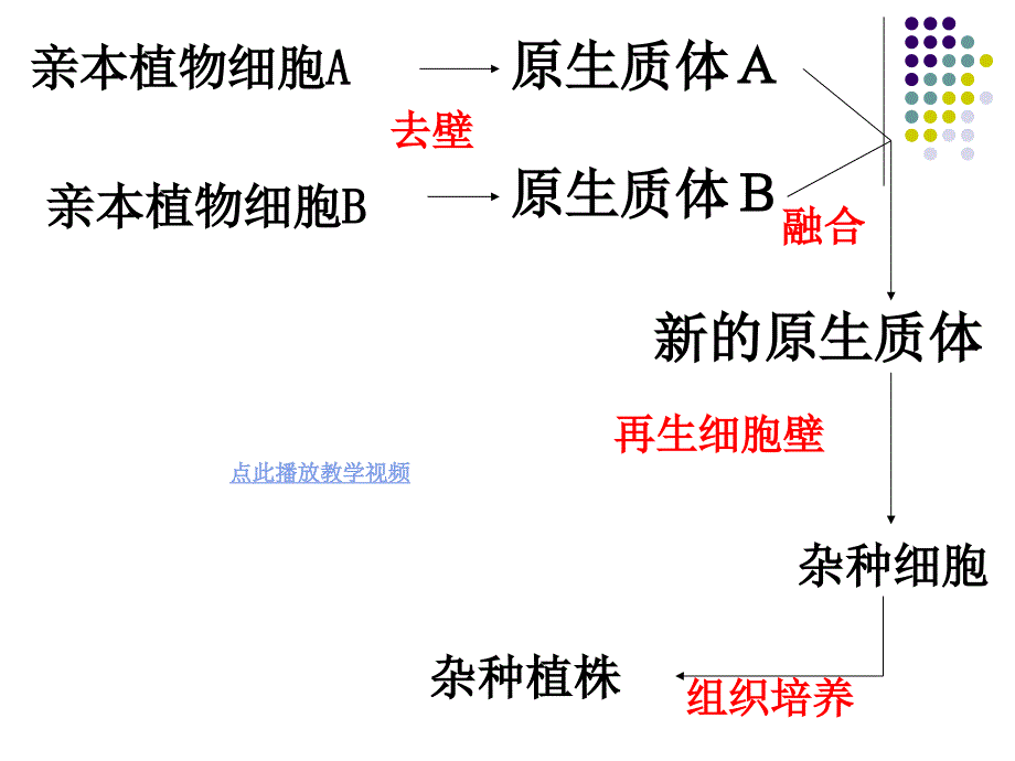 植物细胞工程的实际应用公开课1章节_第3页