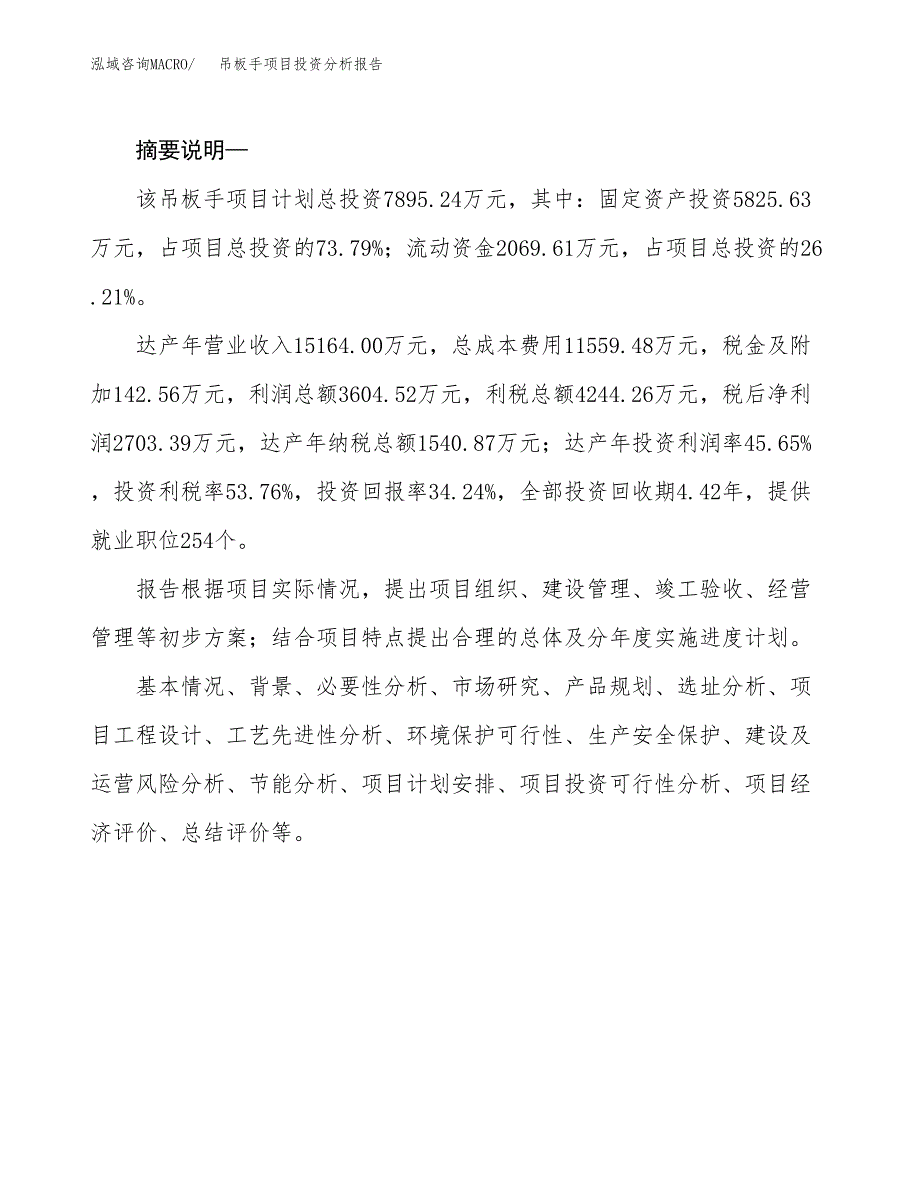 吊板手项目投资分析报告(总投资8000万元)_第2页