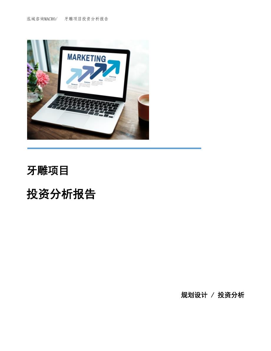 牙雕项目投资分析报告(总投资7000万元)_第1页