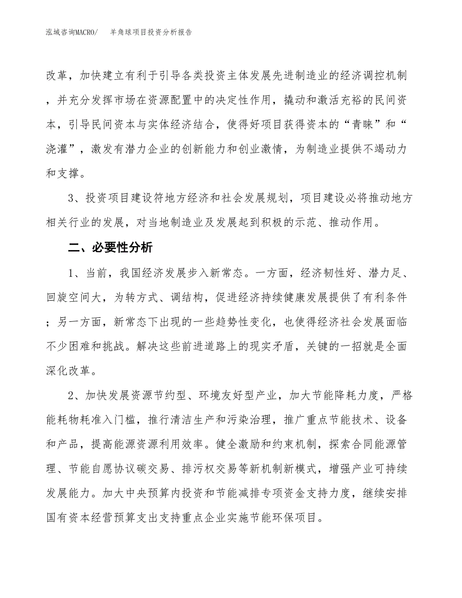 羊角球项目投资分析报告(总投资18000万元)_第4页