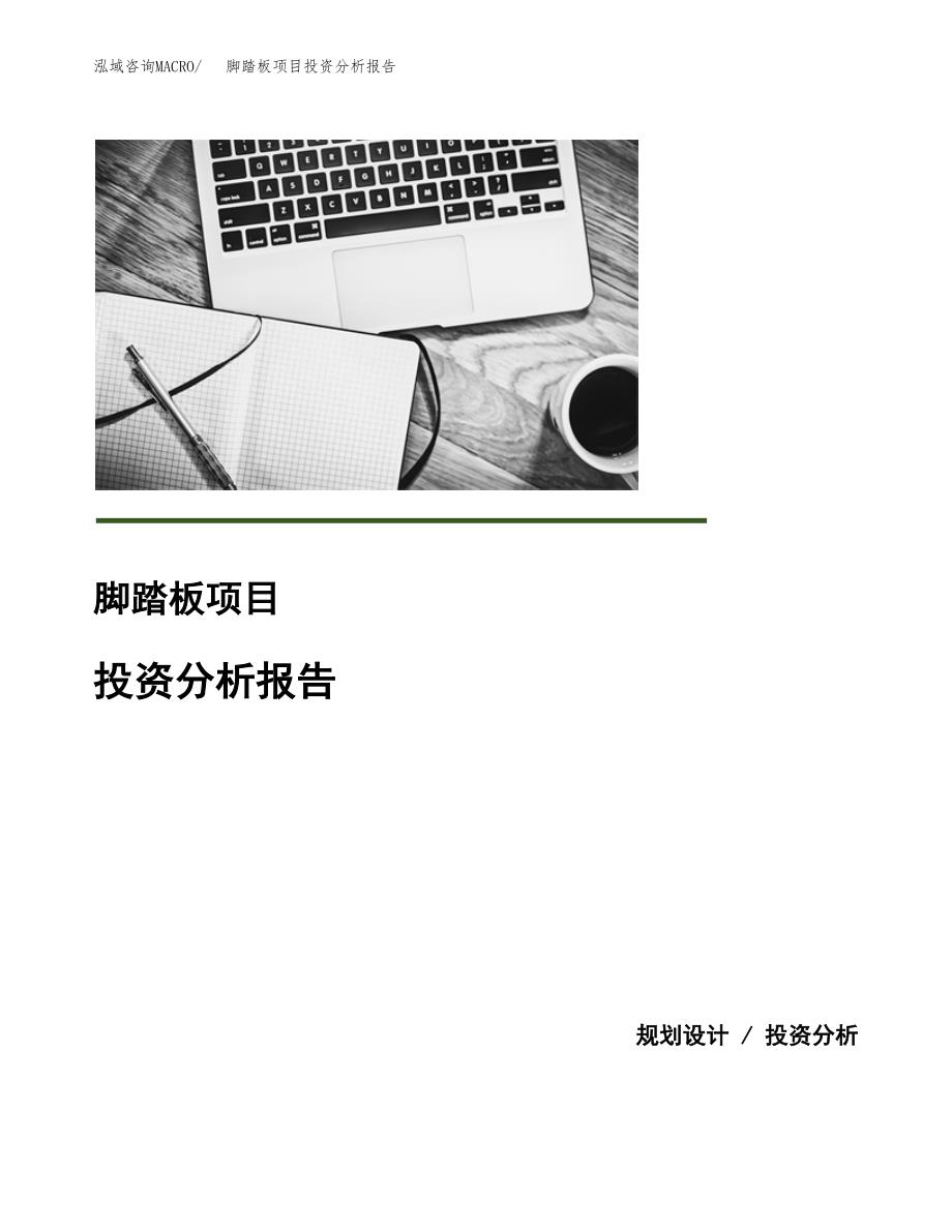 脚踏板项目投资分析报告(总投资9000万元)_第1页