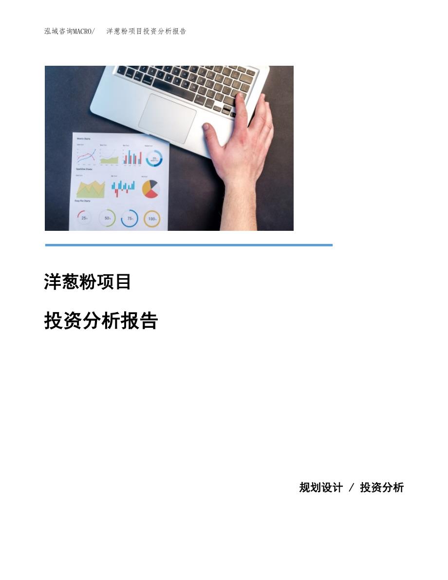 洋葱粉项目投资分析报告(总投资16000万元)_第1页