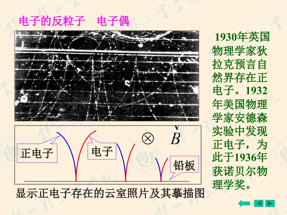 物理课件2wenhengcichang3章节_第3页