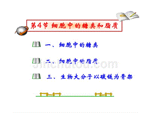 梁第4节细胞中的糖类和脂质