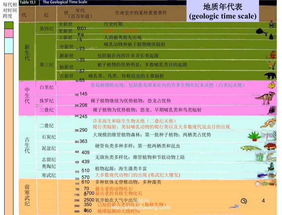 级15微生物的进化_第4页