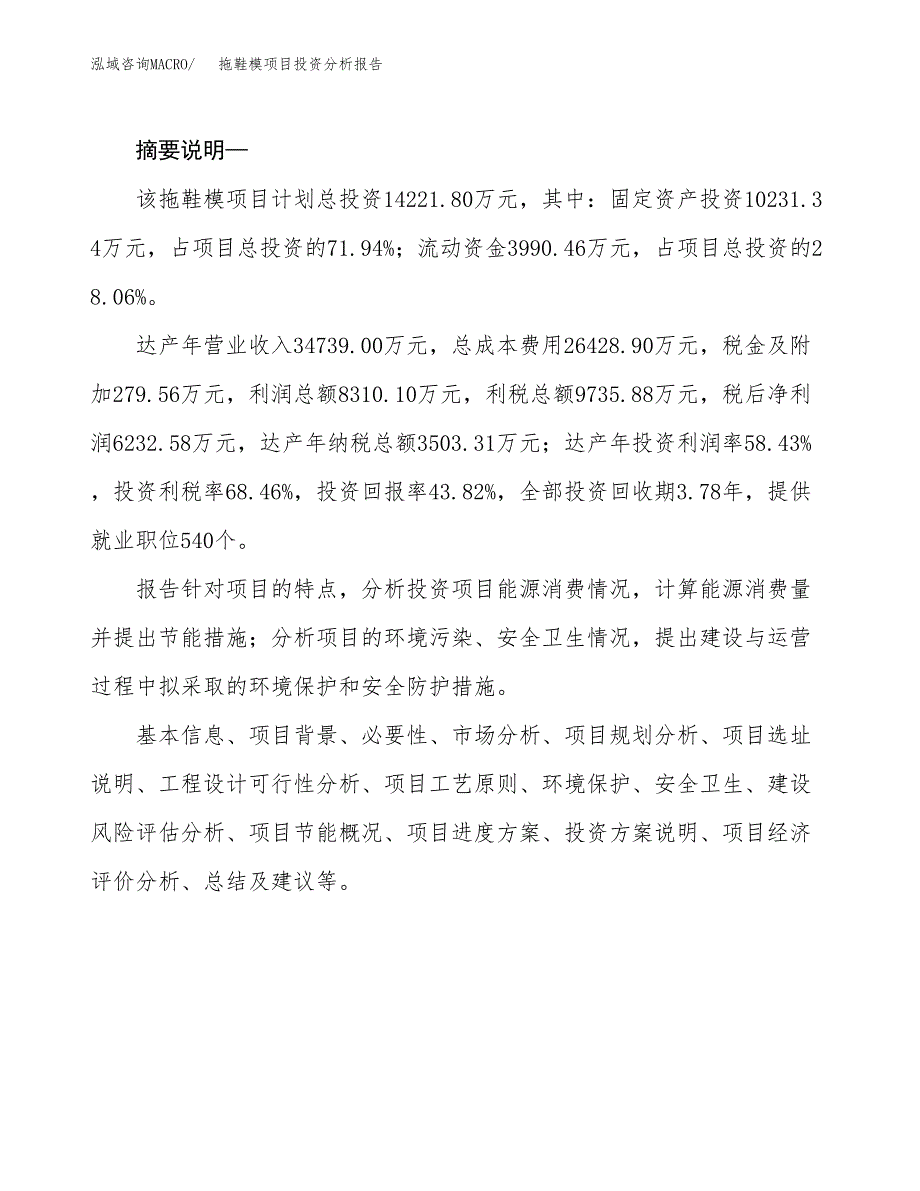 拖鞋模项目投资分析报告(总投资14000万元)_第2页