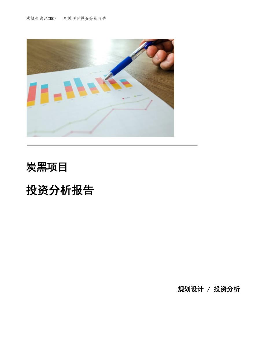 炭黑项目投资分析报告(总投资19000万元)_第1页