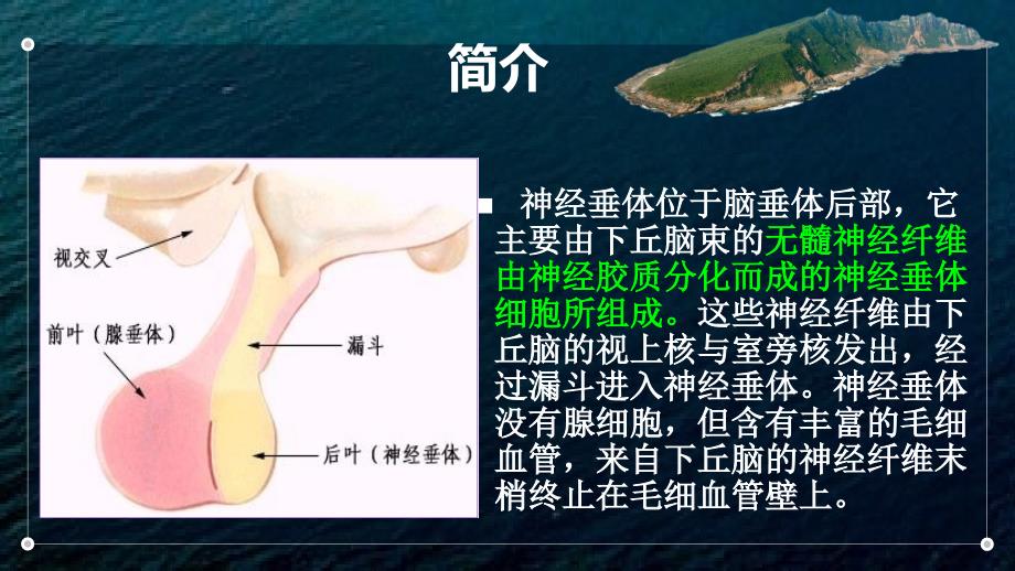 神经垂体课件_第3页