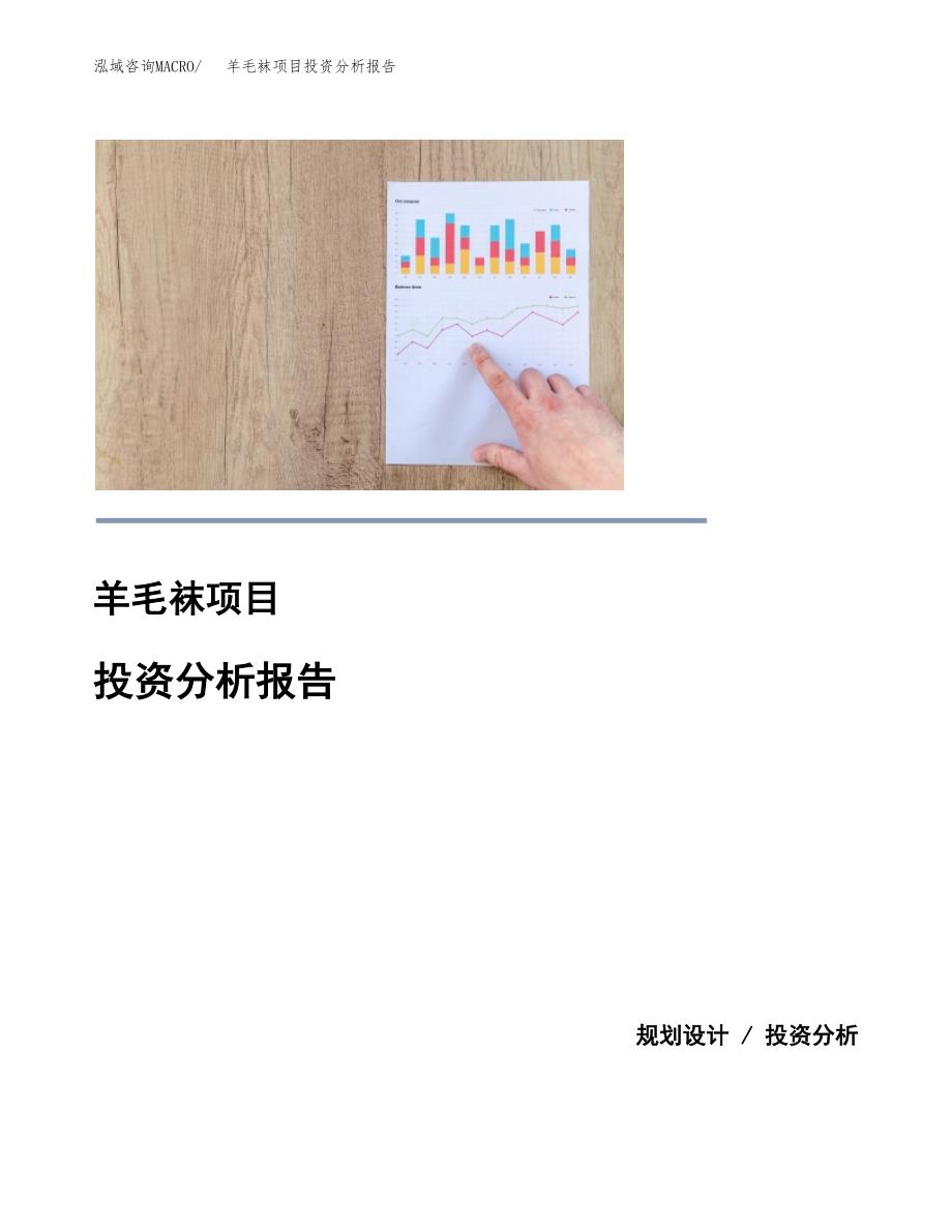 羊毛袜项目投资分析报告(总投资16000万元)_第1页