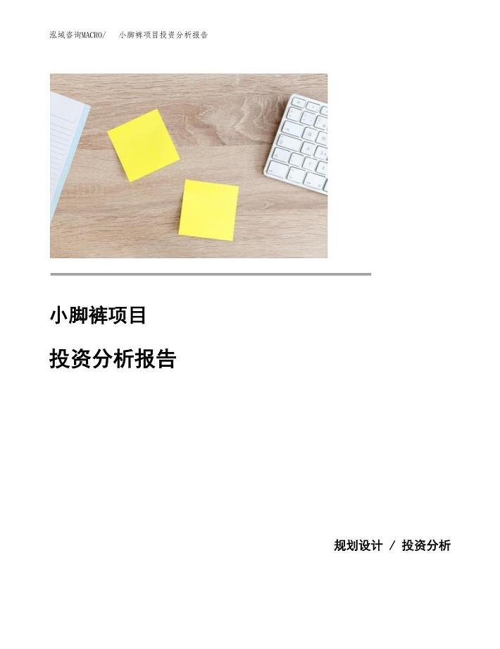 小脚裤项目投资分析报告(总投资3000万元)