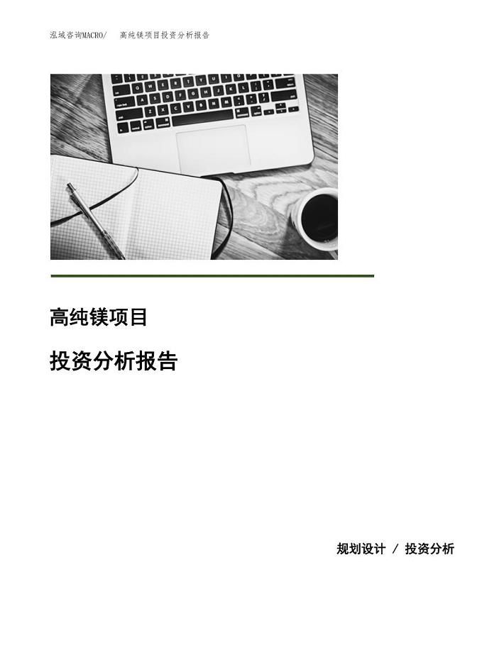 高纯镁项目投资分析报告(总投资3000万元)