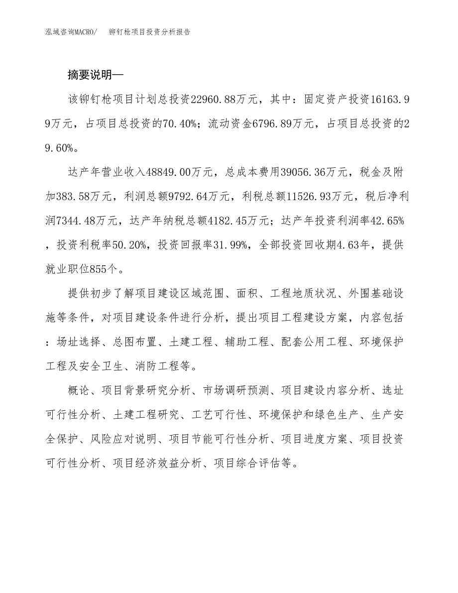 铆钉枪项目投资分析报告(总投资23000万元)_第2页