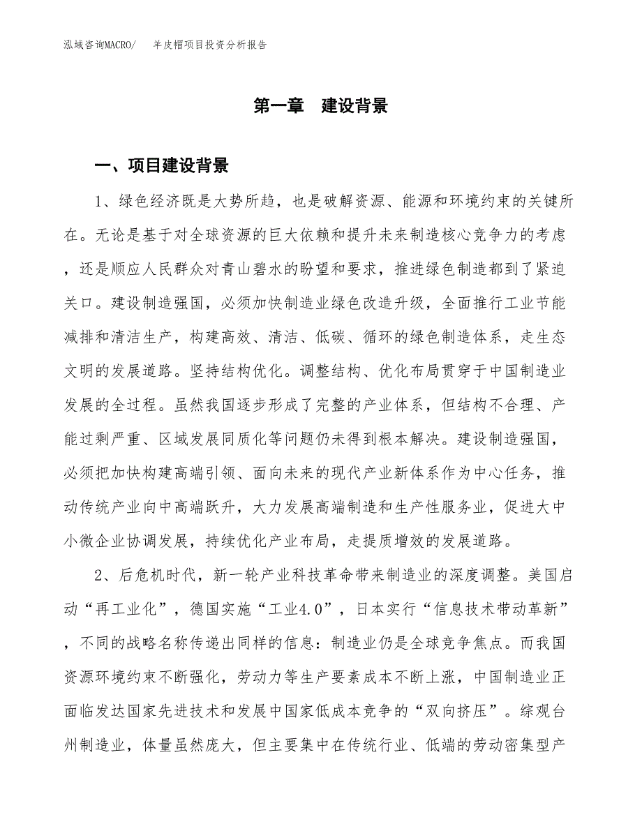 羊皮帽项目投资分析报告(总投资24000万元)_第3页