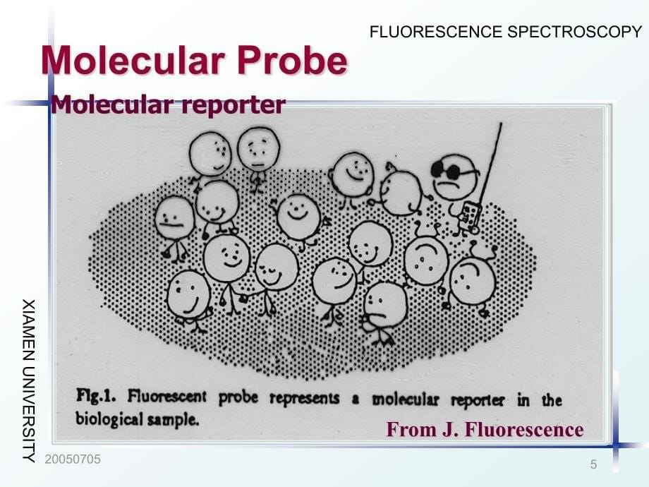 荧光探针和分 子传 感器_第5页