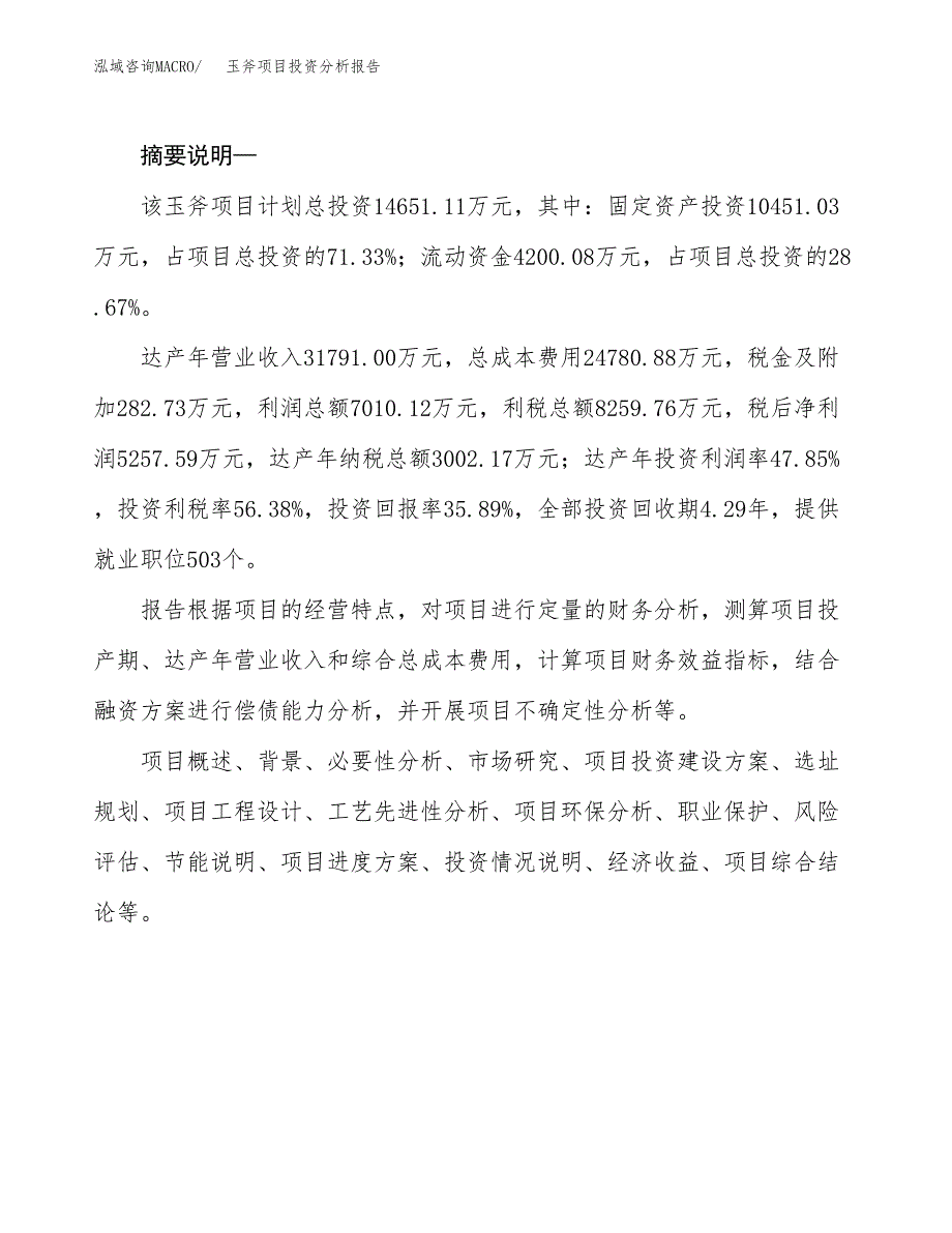 玉斧项目投资分析报告(总投资15000万元)_第2页