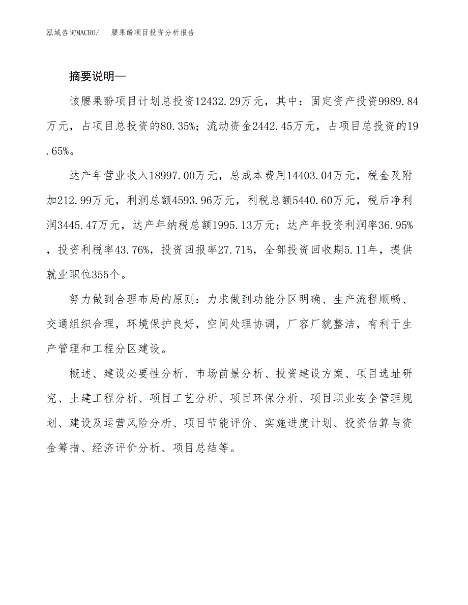 腰果酚项目投资分析报告(总投资12000万元)_第2页