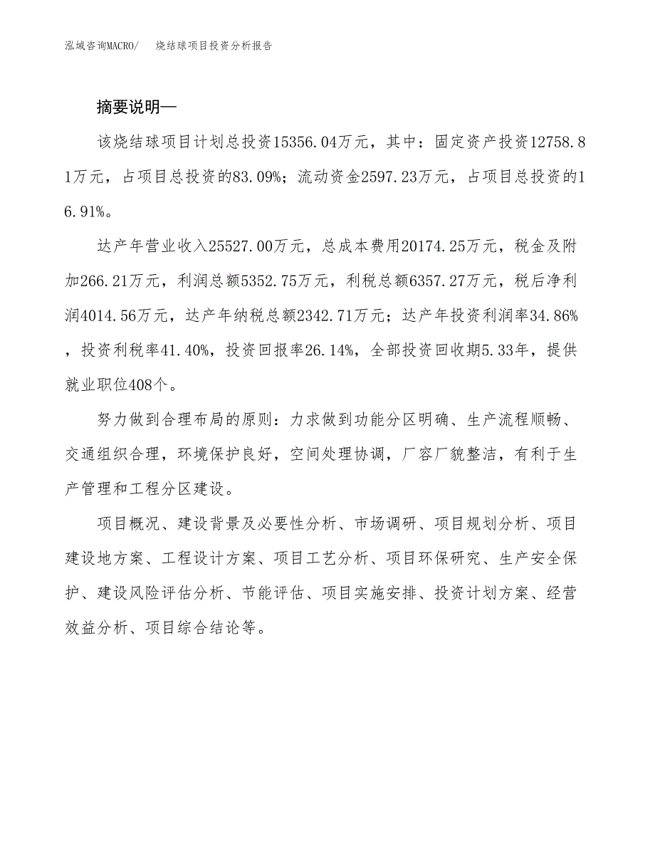 烧结球项目投资分析报告(总投资15000万元)_第2页