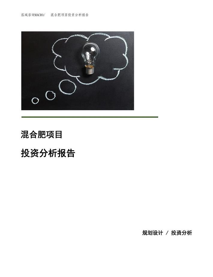 混合肥项目投资分析报告(总投资10000万元)