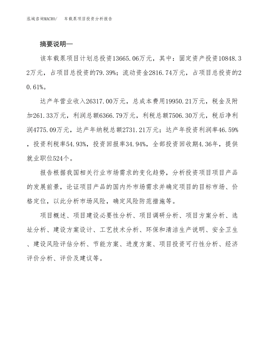 车载泵项目投资分析报告(总投资14000万元)_第2页