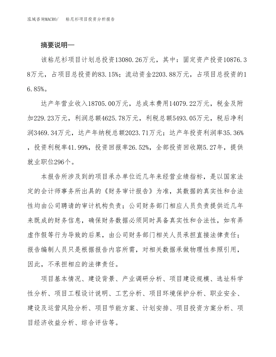 粘尼衫项目投资分析报告(总投资13000万元)_第2页