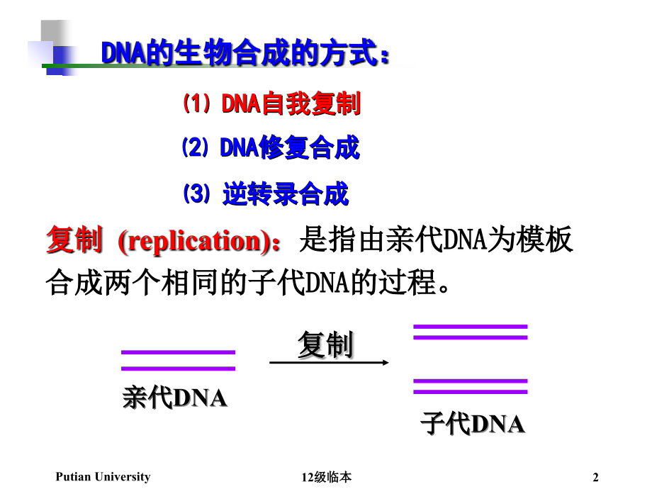 生物化学第14章DNA的生物合成_第2页