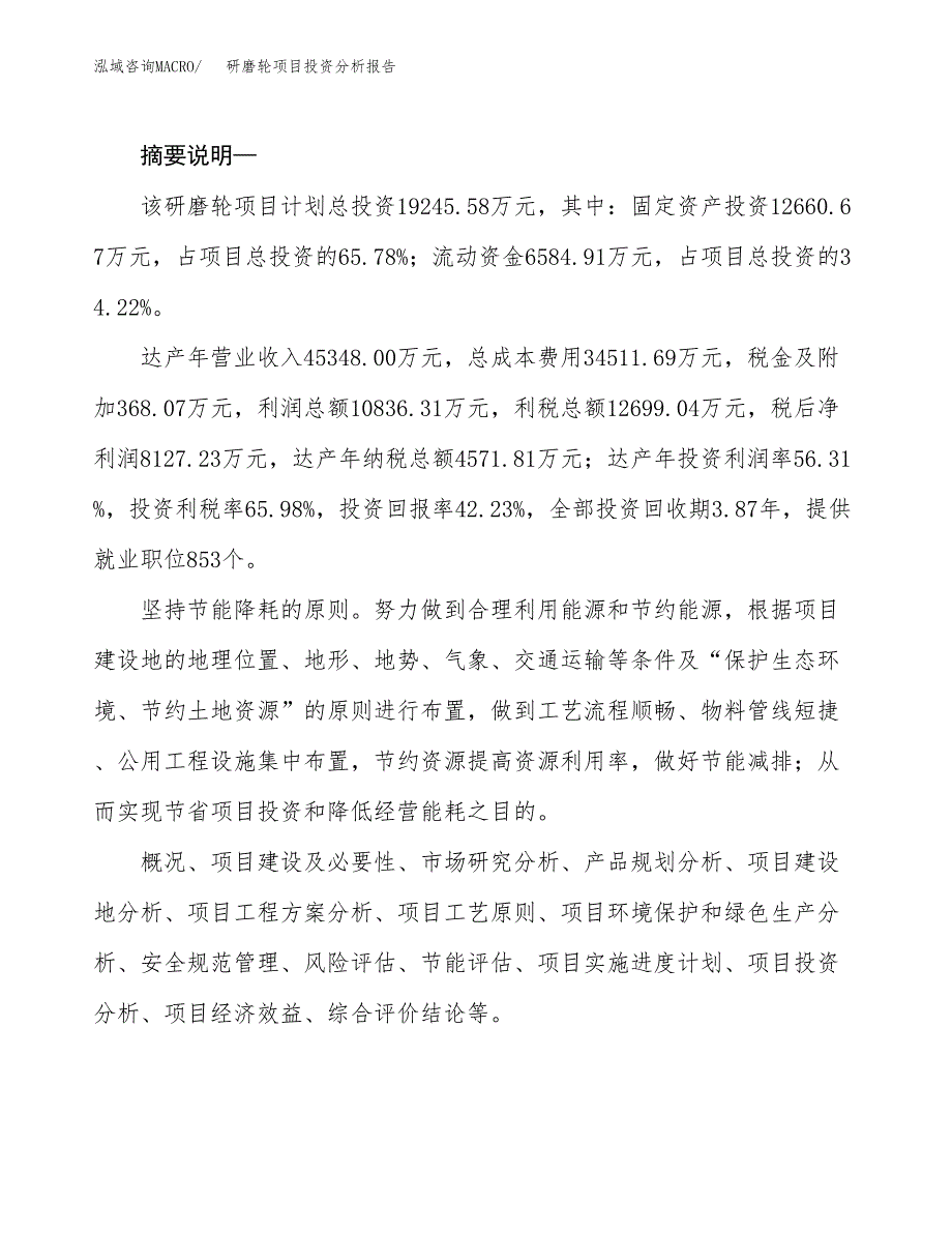 研磨轮项目投资分析报告(总投资19000万元)_第2页