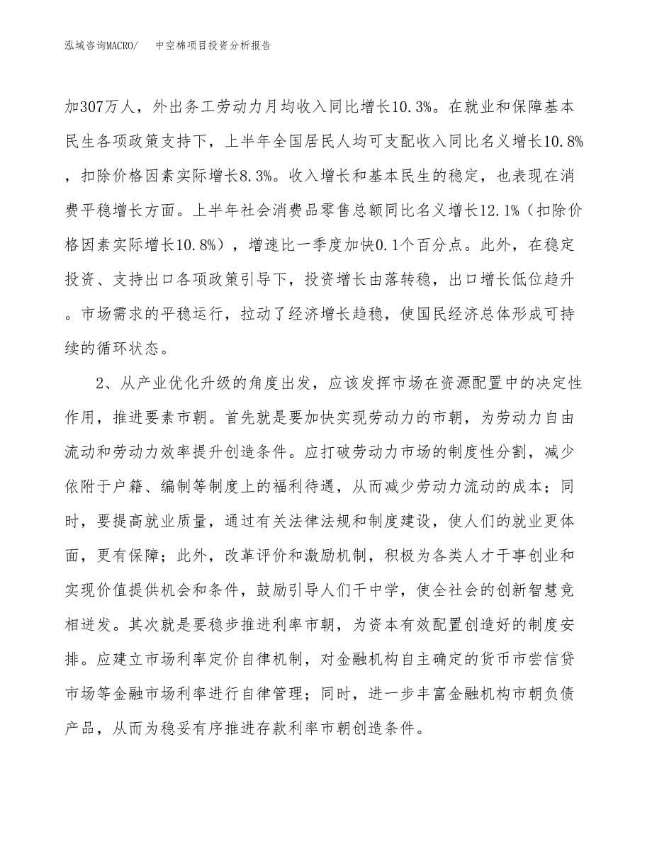 中空棉项目投资分析报告(总投资11000万元)_第5页