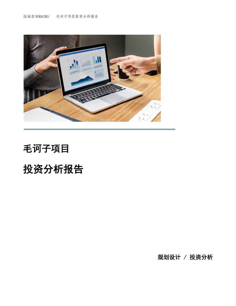 毛诃子项目投资分析报告(总投资10000万元)_第1页